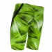 Maillots de bain homme Michael Phelps Mesa Jammer Green