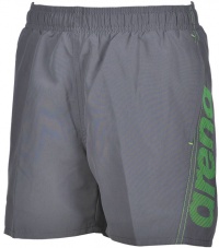 Shorts de bain garçon Arena Fundamentals Arena Logo Boxer Junior Grey/Green