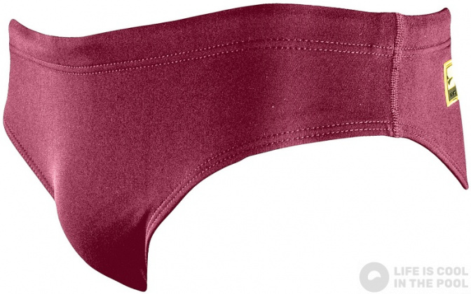 Maillots de bain garcon Finis Youth Brief Solid Cabernet