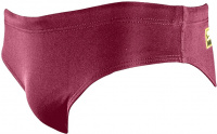 Maillots de bain garcon Finis Youth Brief Solid Cabernet