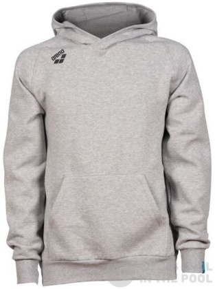 Sweats à capuche Arena Team Unisex Hooded Sweat Panel Medium Grey/Heather