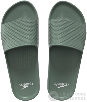 Pantoufles homme Speedo Entry Slide Khaki